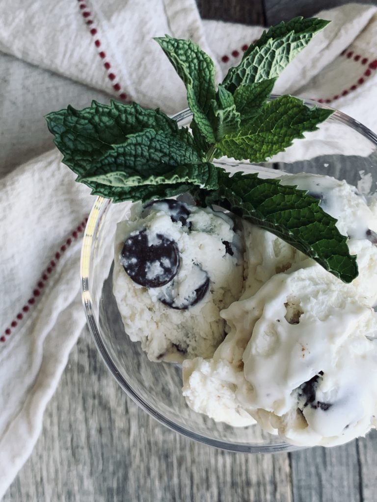 scoops of ice cream with mint sprig